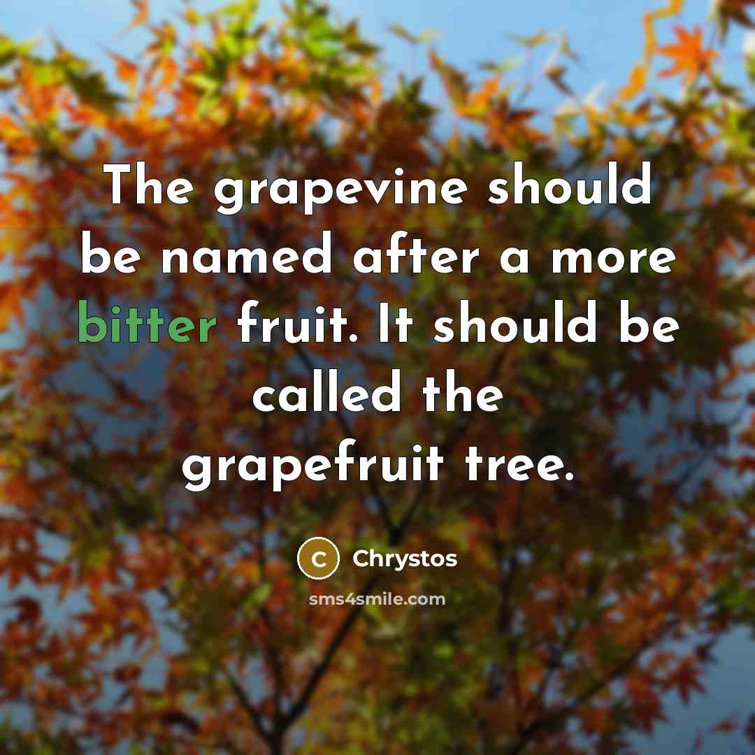 “The grapevine should be named after a more bitter fruit.…” quote by Chrystos