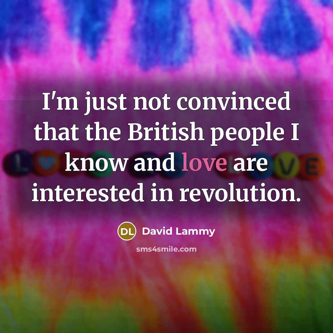 “I'm just not convinced that the British people I know…” quote by David Lammy
