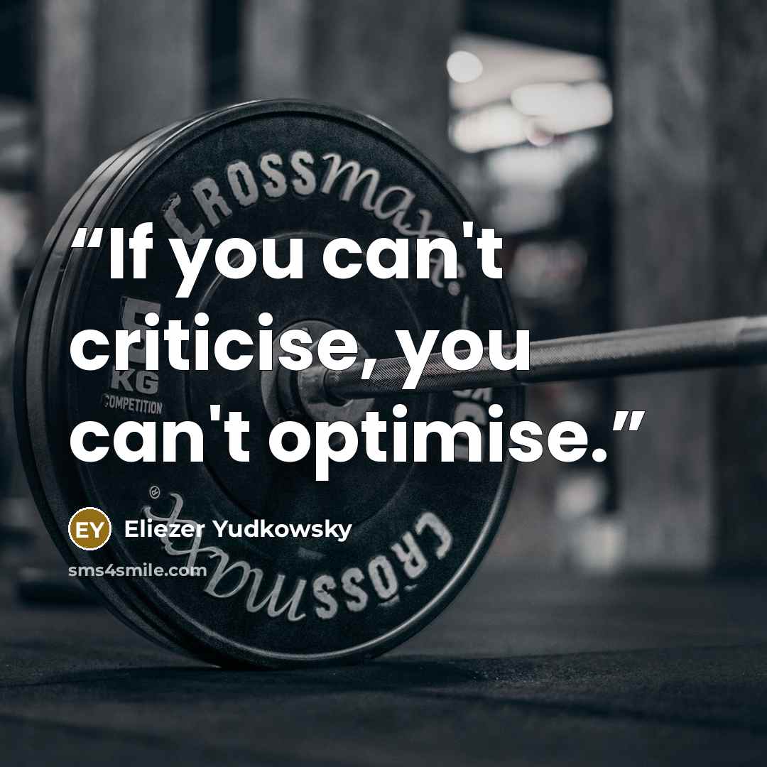 “If you can't criticise, you can't optimise.” quote by Eliezer Yudkowsky