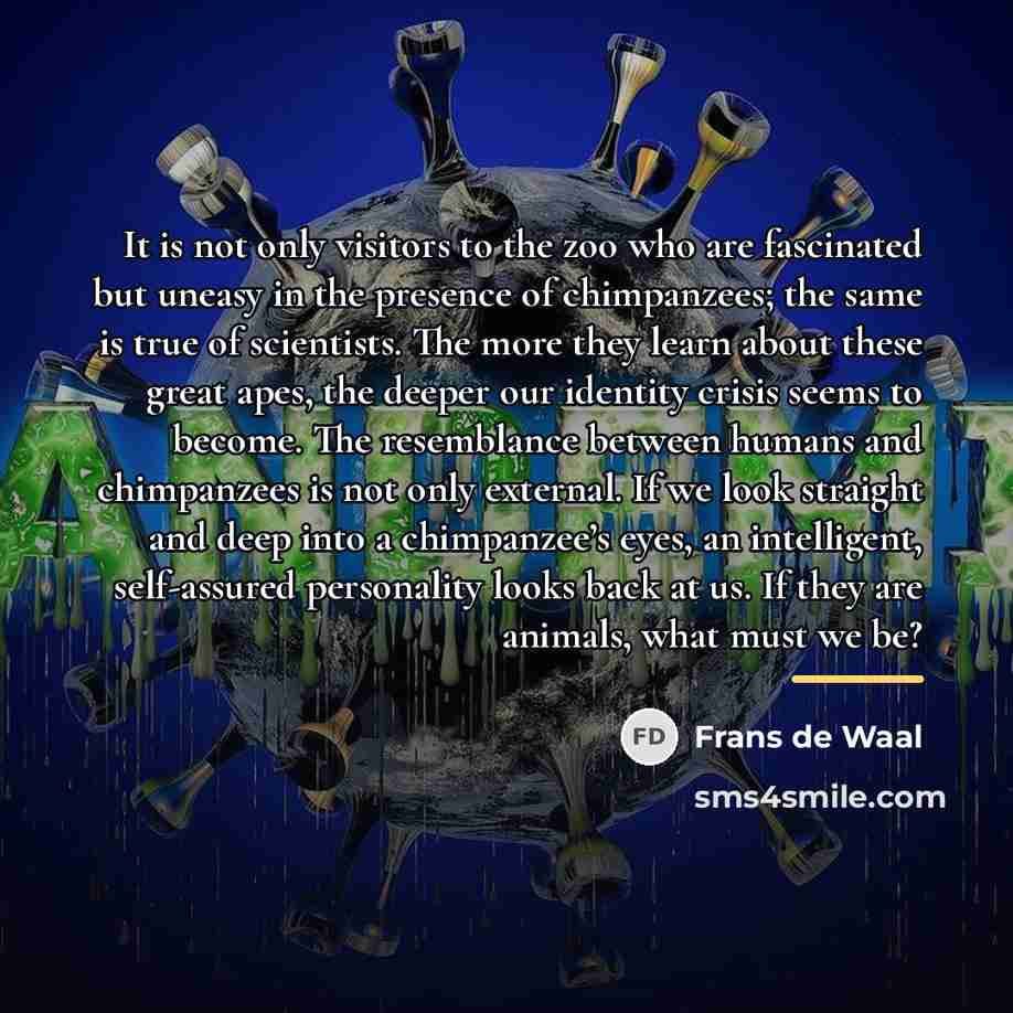 “It is not only visitors to the zoo who are…” quote by Frans de Waal