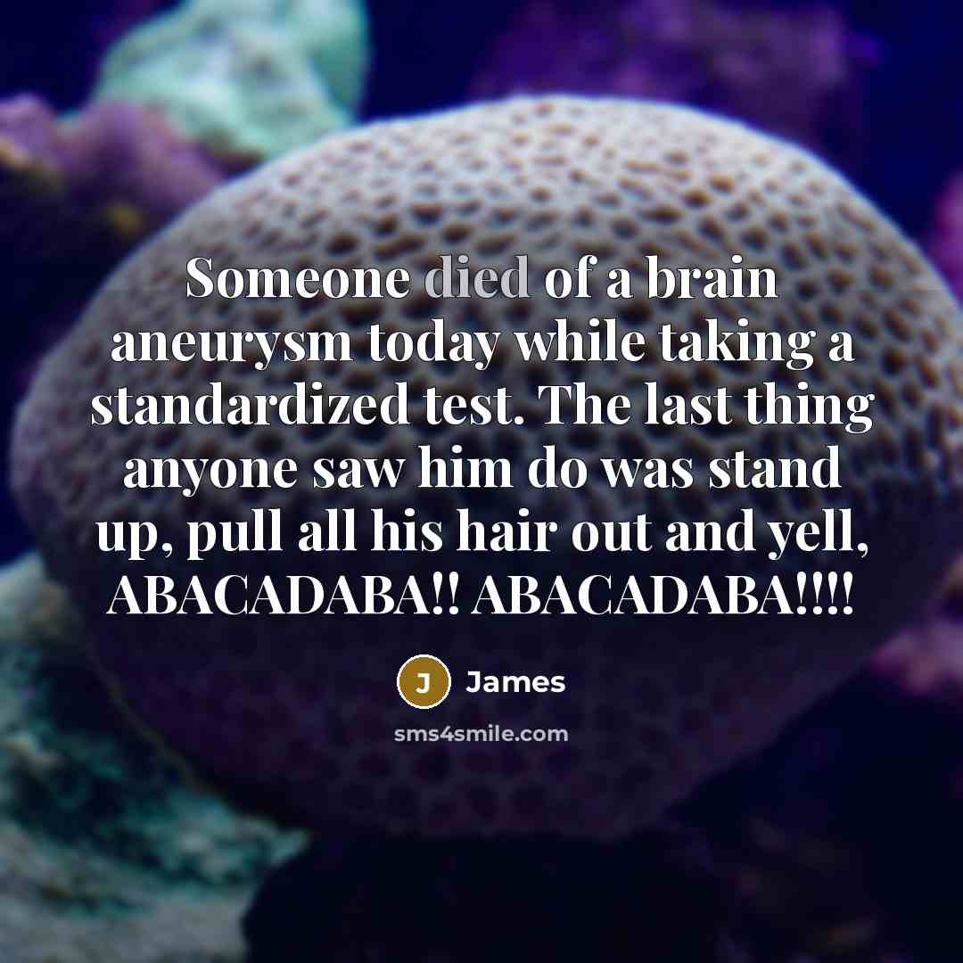 “Someone died of a brain aneurysm today while taking a standardized test. The last thing anyone saw him do was stand up, pull all his hair out and yell, ABACADABA!! ABACADABA!!!!” quote by James