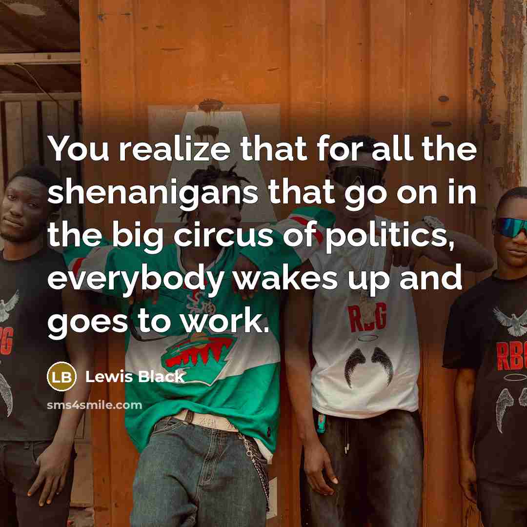 “You realize that for all the shenanigans that go on…” quote by Lewis Black