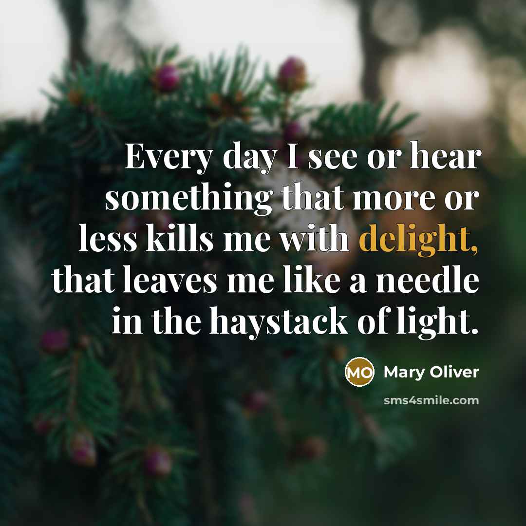 “Every day I see or hear something that more or…” quote by Mary Oliver