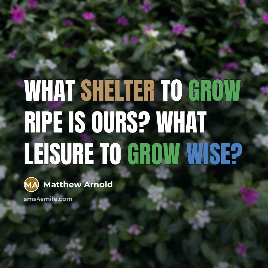 “What shelter to grow ripe is ours? What leisure to…” quote by Matthew Arnold