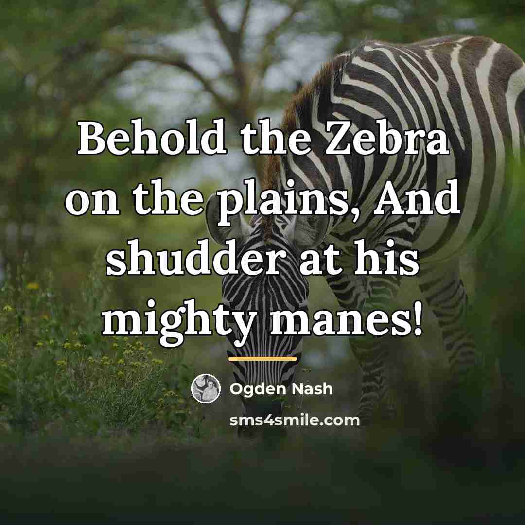 “Behold the Zebra on the plains, And shudder at his…” quote by Ogden Nash