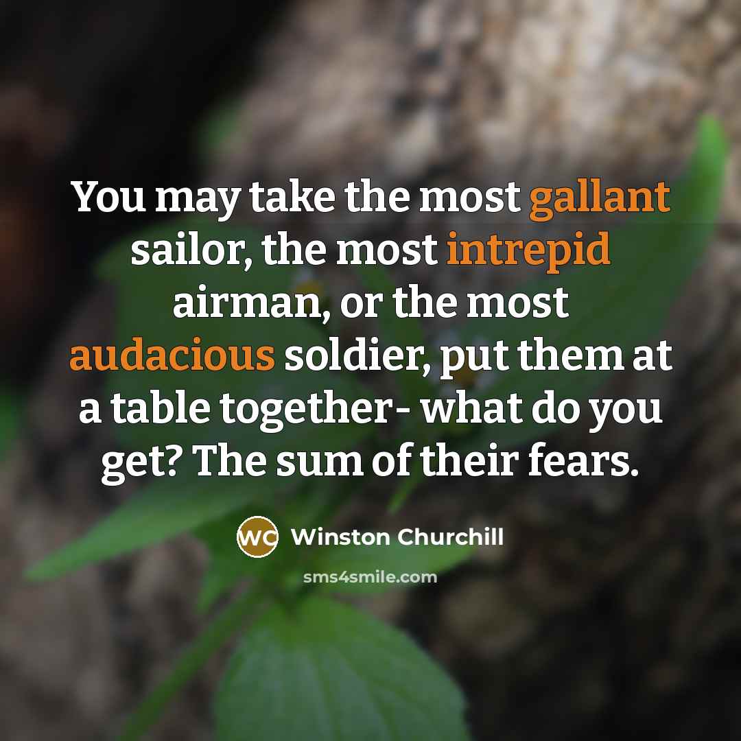 “You may take the most gallant sailor, the most intrepid…” quote by Winston Churchill