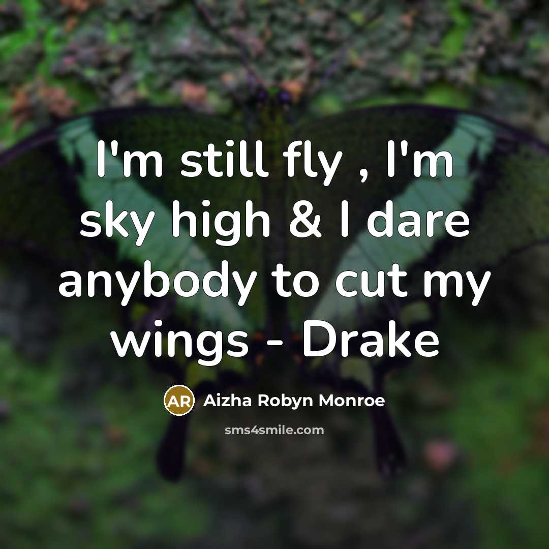 “I'm still fly , I'm sky high & I dare anybody to cut my wings - Drake” quote by Aizha Robyn Monroe