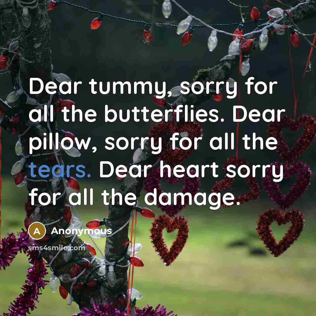 “Dear tummy, sorry for all the butterflies. Dear pillow, sorry…” quote by Anonymous