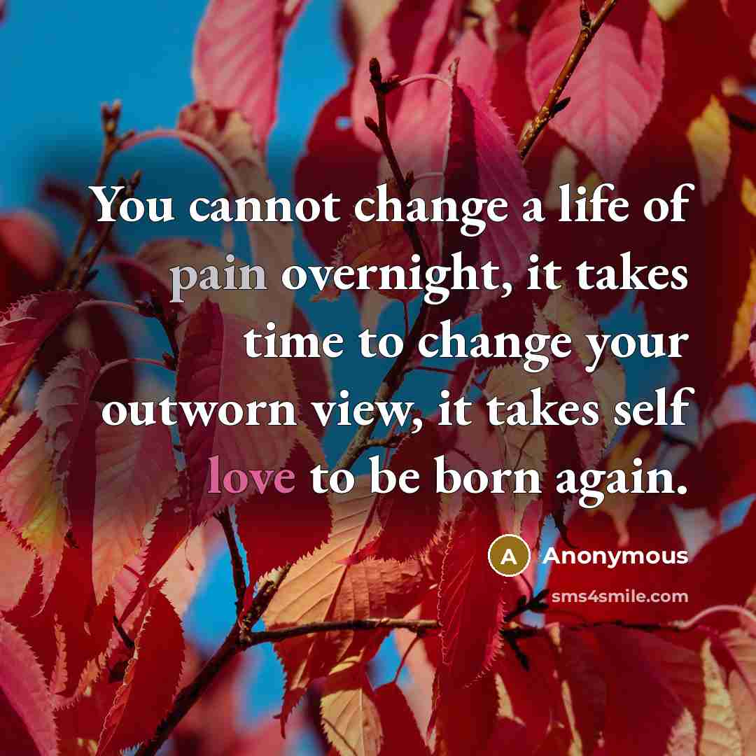 “You cannot change a life of pain overnight, it takes time to change your outworn view, it takes self love to be born again.” quote by Anonymous