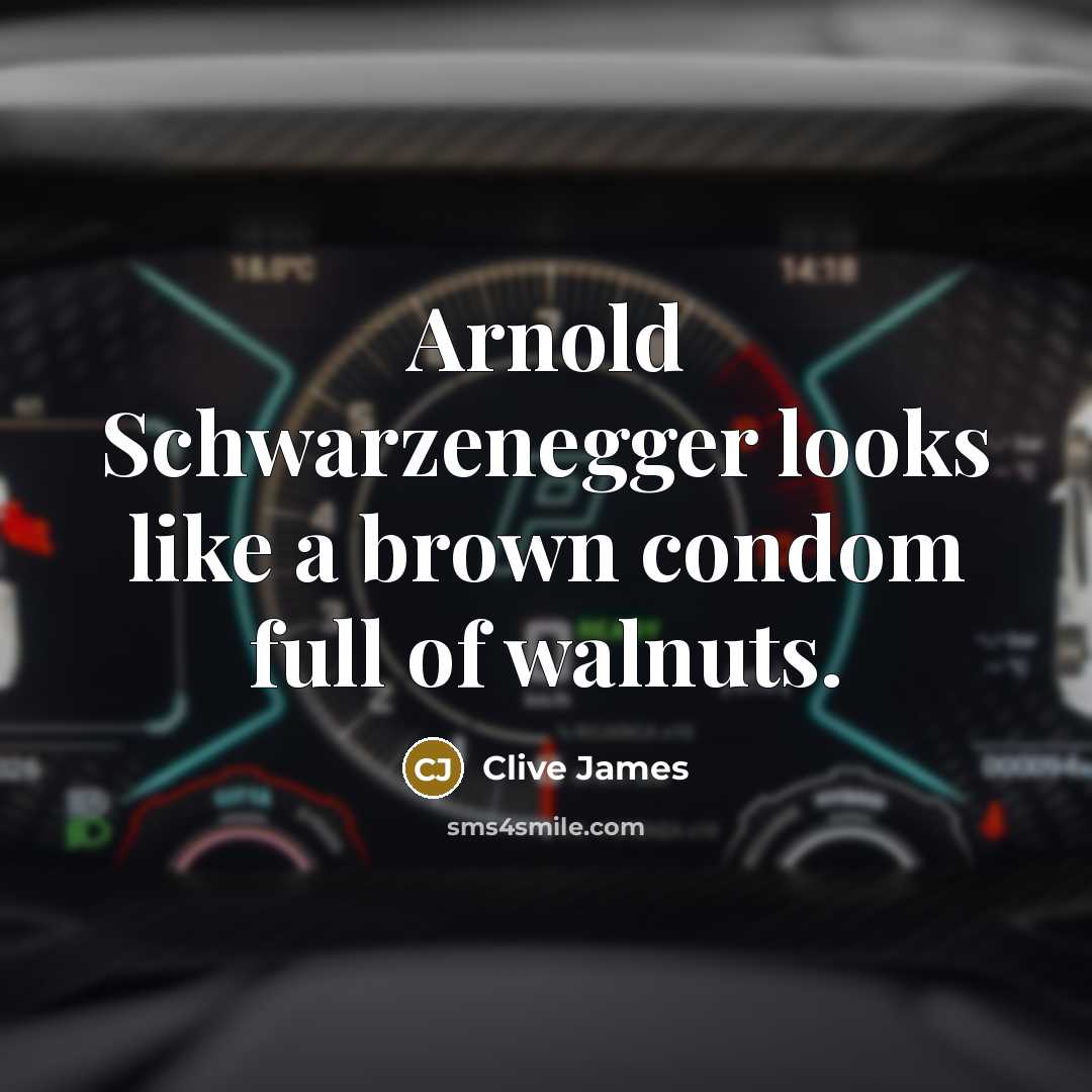 “Arnold Schwarzenegger looks like a brown condom full of walnuts.” quote by Clive James
