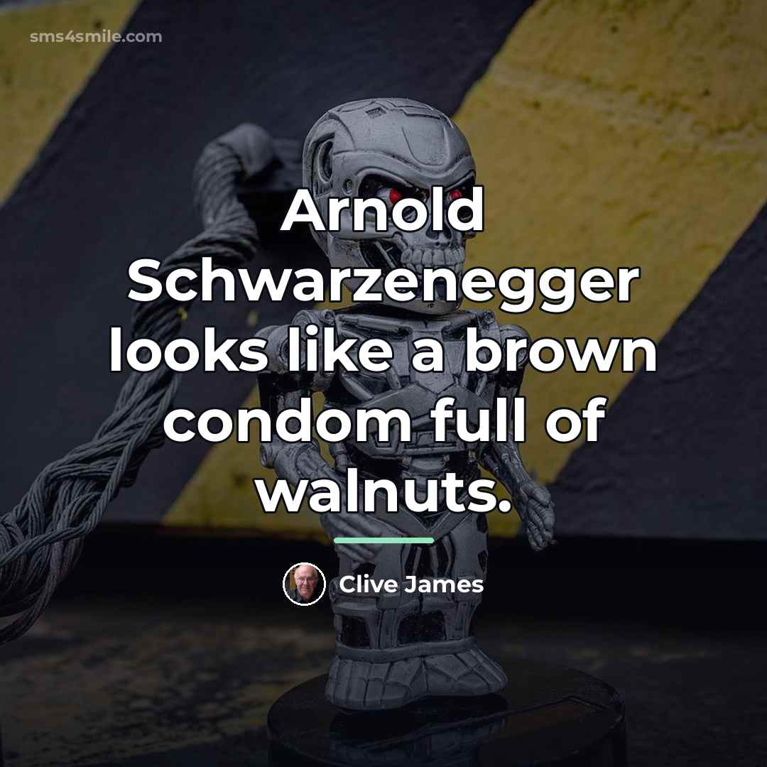 “Arnold Schwarzenegger looks like a brown condom full of walnuts.…” quote by Clive James