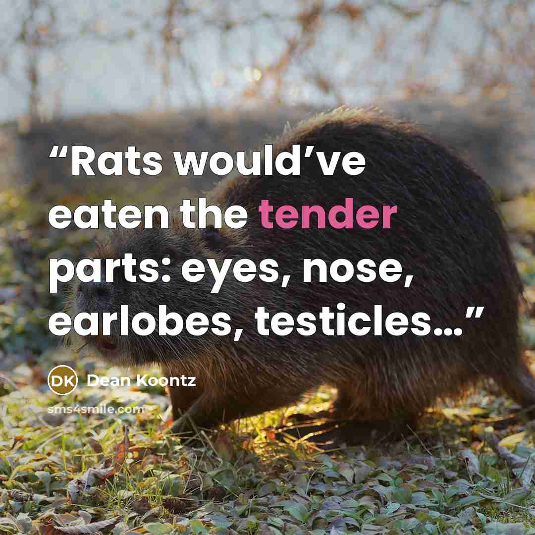 “Rats would’ve eaten the tender parts: eyes, nose, earlobes, testicles…” quote by Dean Koontz