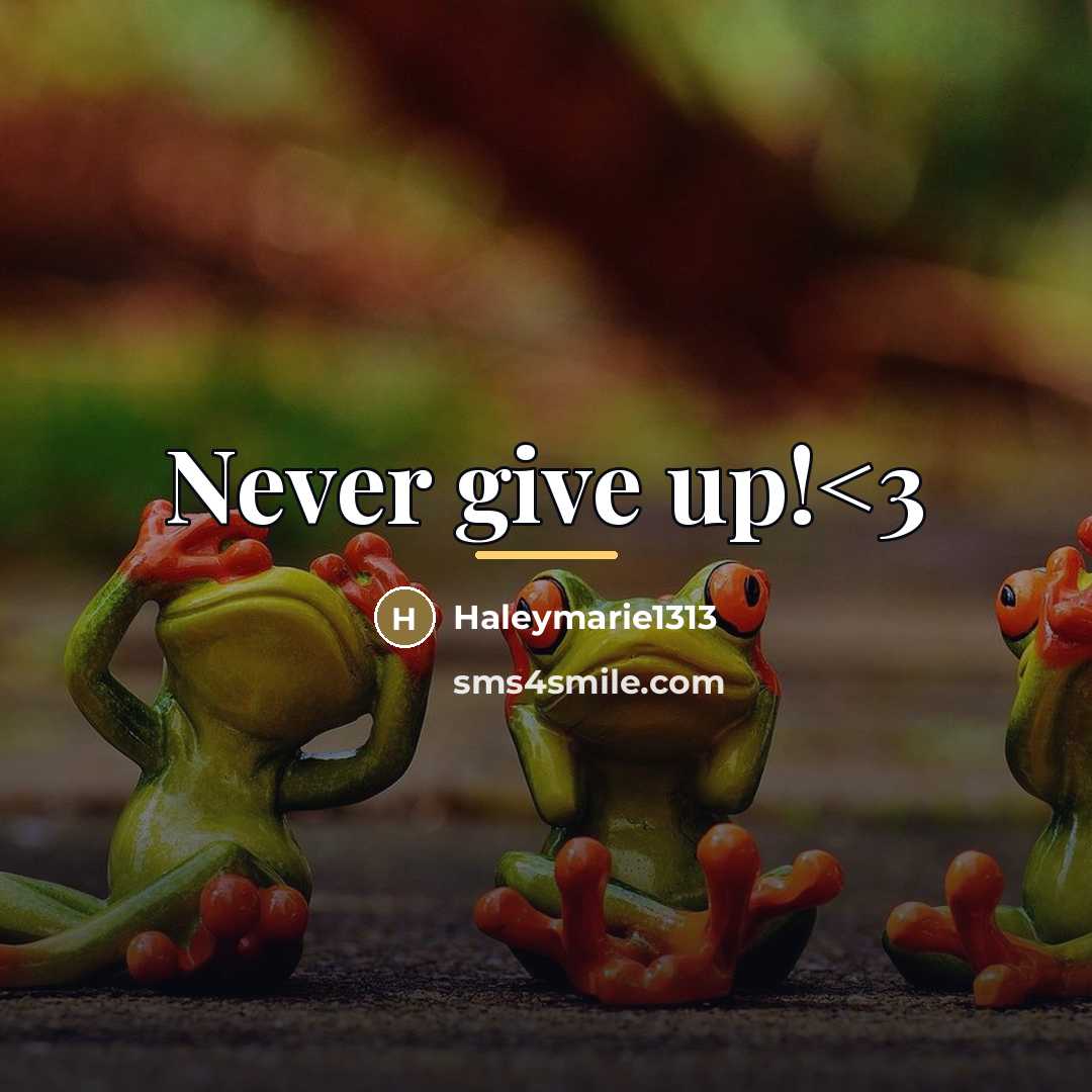 “Never give up!…” quote by Haleymarie1313