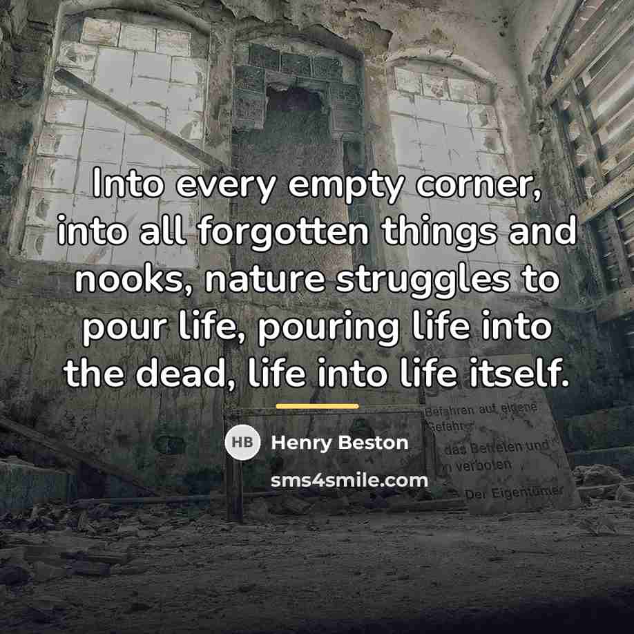 “Into every empty corner, into all forgotten things and nooks,…” quote by Henry Beston
