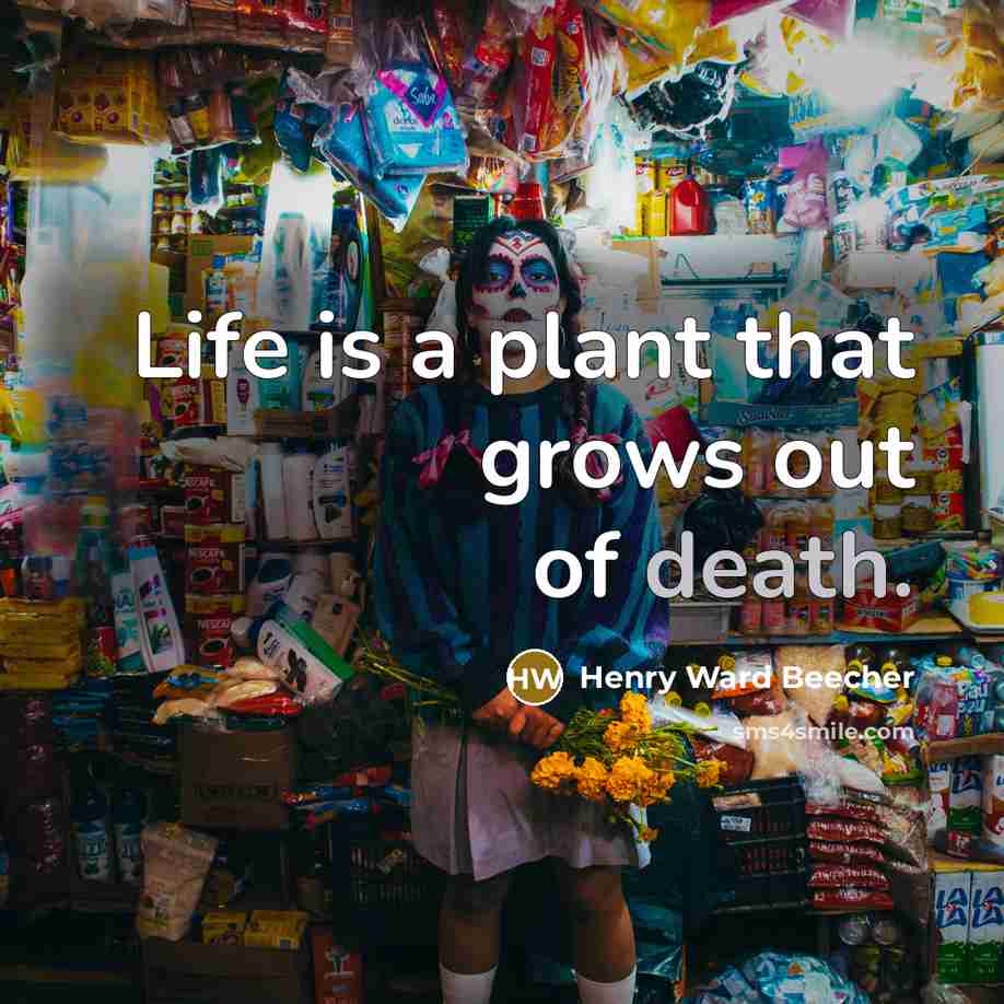 “Life is a plant that grows out of death.…” quote by Henry Ward Beecher