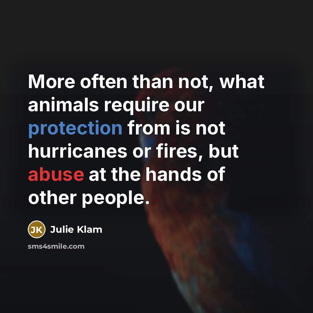 “More often than not, what animals require our protection from…” quote by Julie Klam