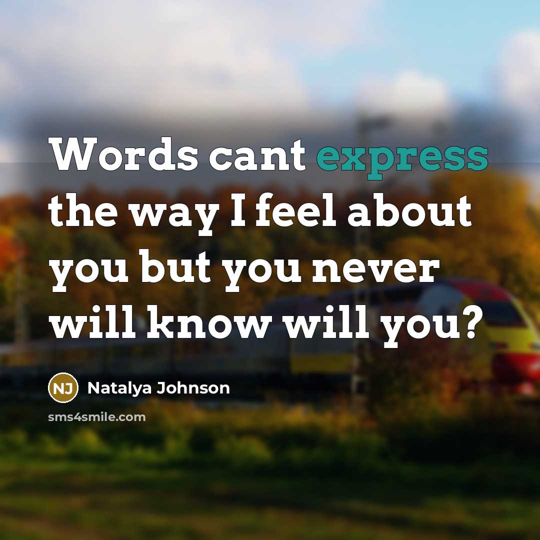 “Words cant express the way I feel about you but you never will know will you?” quote by Natalya Johnson