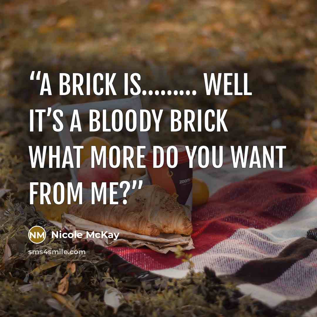 “A brick is……… Well it’s a bloody brick what more do you want from me?” quote by Nicole McKay