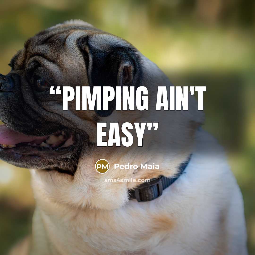 “Pimping ain't easy” quote by Pedro Maia