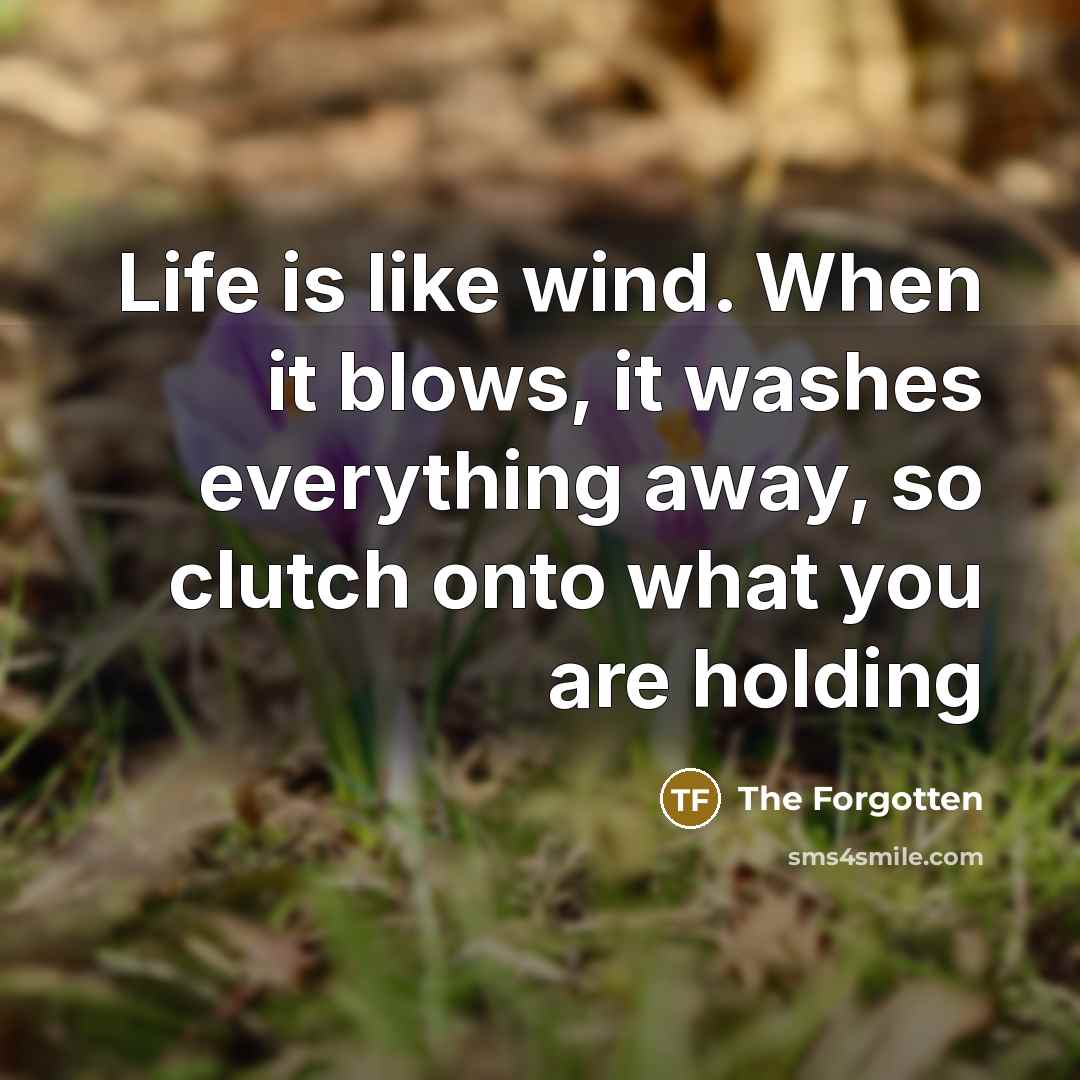 “Life is like wind. When it blows, it washes everything…” quote by The Forgotten