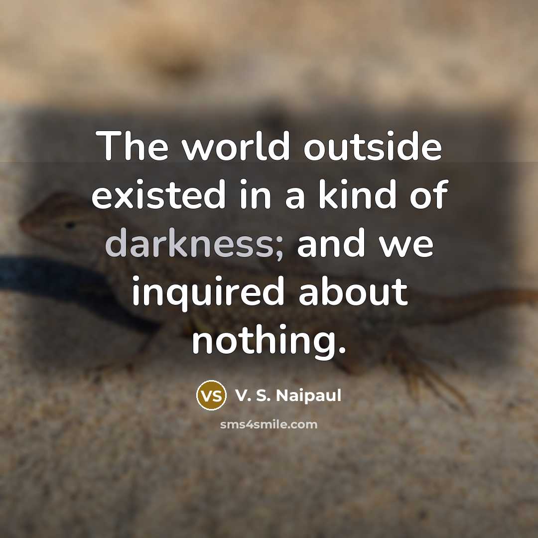 “The world outside existed in a kind of darkness; and…” quote by V. S. Naipaul