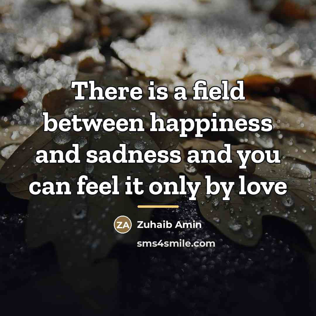 “There is a field between happiness and sadness and you…” quote by Zuhaib Amin