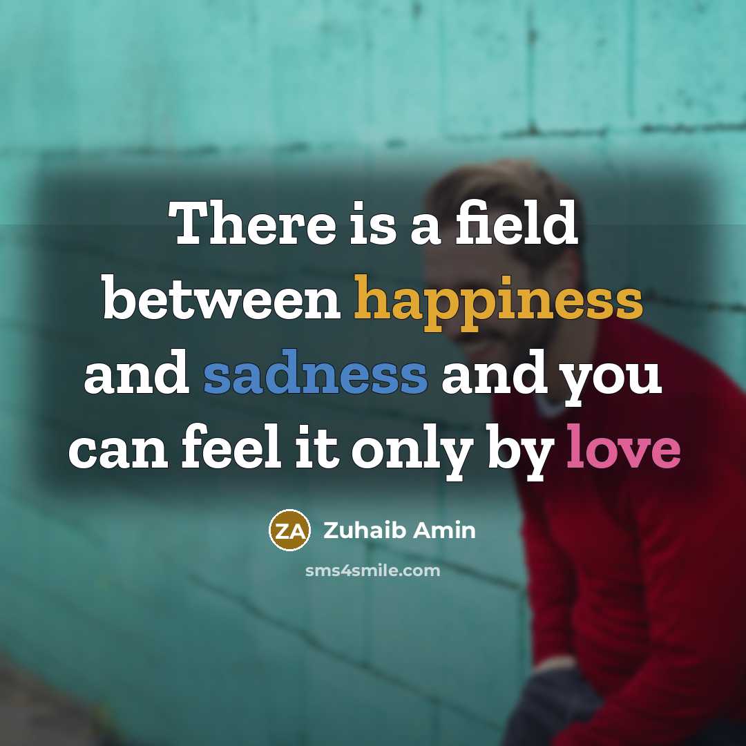 “There is a field between happiness and sadness and you can feel it only by love” quote by Zuhaib Amin