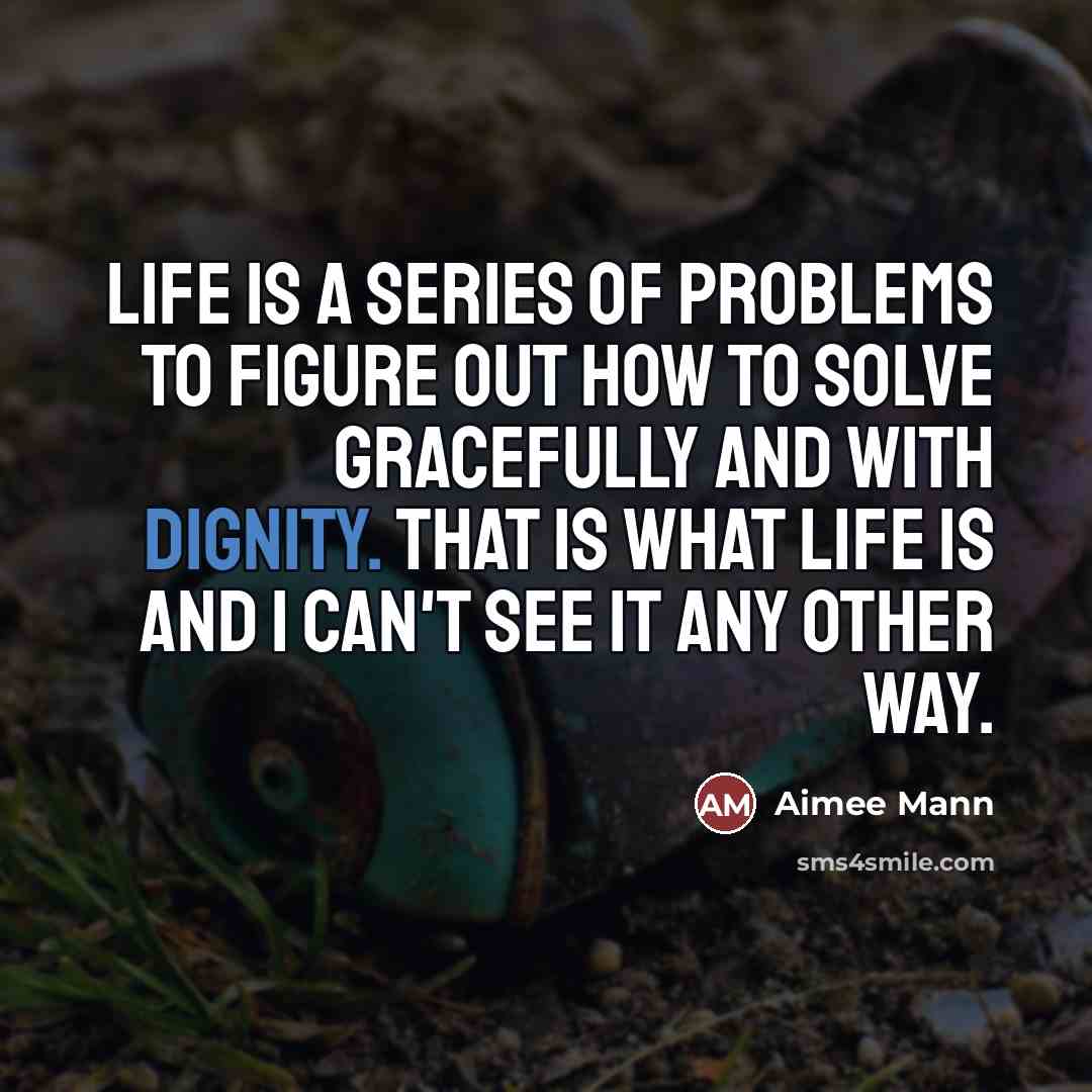 “Life is a series of problems to figure out how…” quote by Aimee Mann
