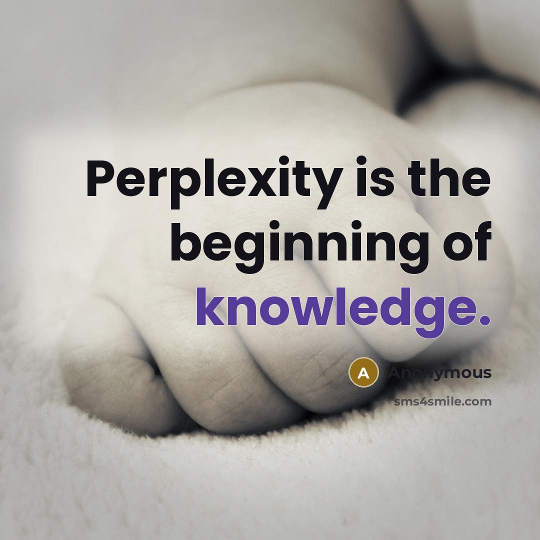 “Perplexity is the beginning of knowledge.” quote by Anonymous