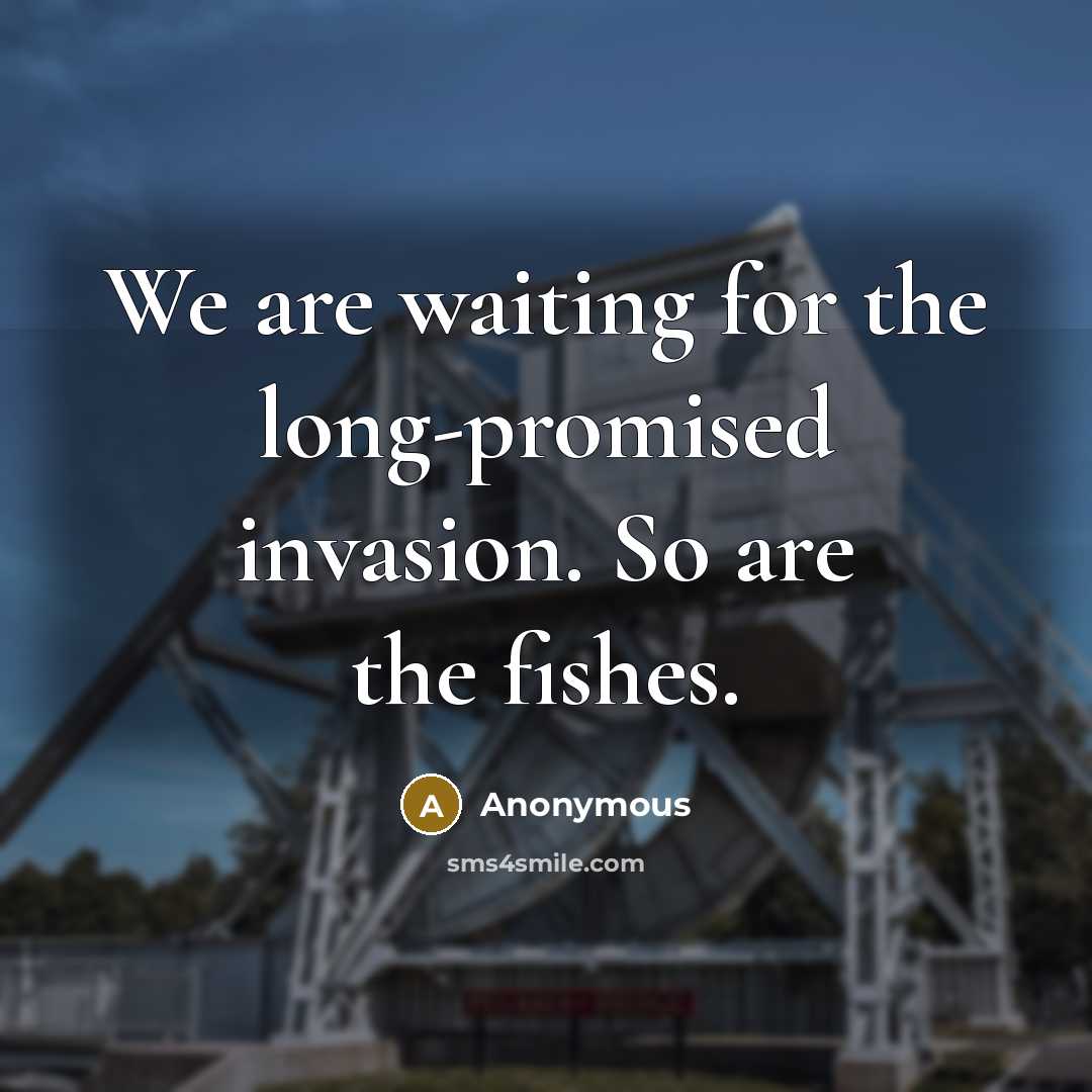 “We are waiting for the long-promised invasion. So are the…” quote by Anonymous