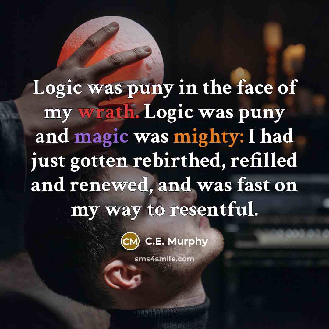 “Logic was puny in the face of my wrath. Logic…” quote by C.E. Murphy