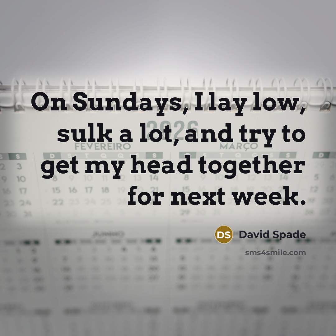 “On Sundays, I lay low, sulk a lot, and try…” quote by David Spade