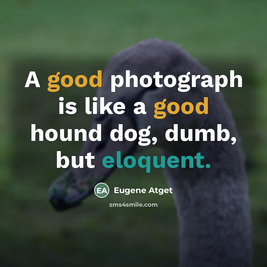 “A good photograph is like a good hound dog, dumb,…” quote by Eugene Atget