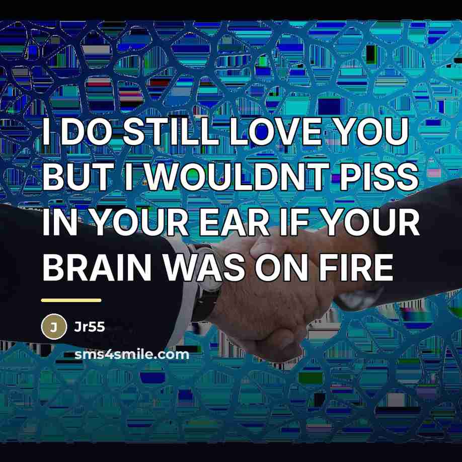 “I DO STILL LOVE YOU BUT I WOULDNT PISS IN…” quote by Jr55