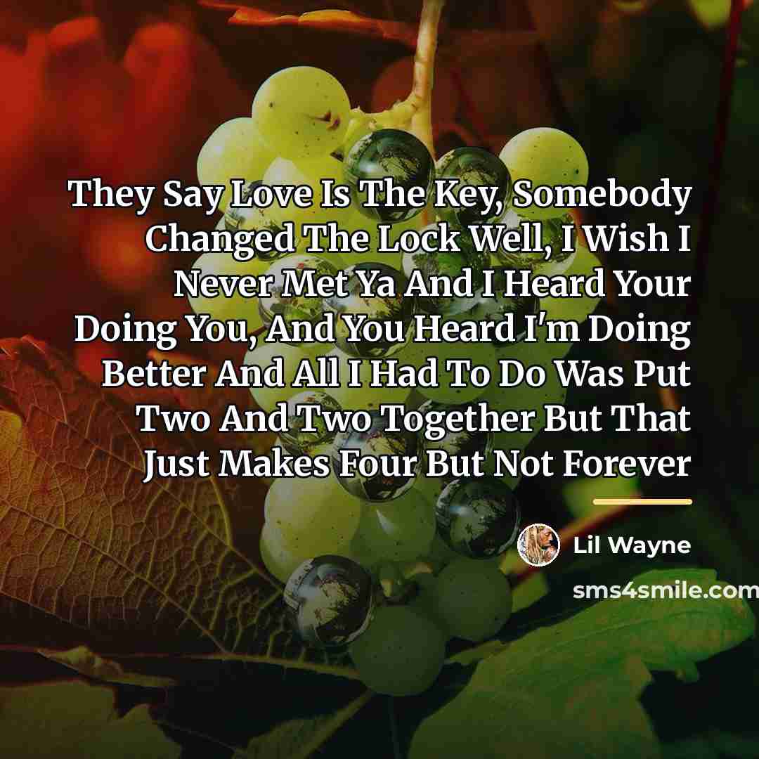 “They Say Love Is The Key, Somebody Changed The Lock…” quote by Lil Wayne