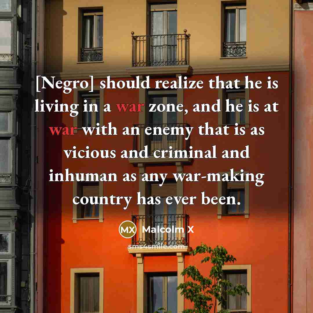 “[Negro] should realize that he is living in a war…” quote by Malcolm X