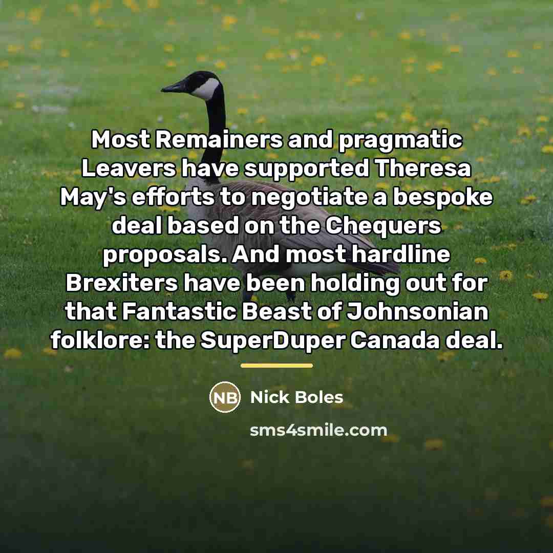 “Most Remainers and pragmatic Leavers have supported Theresa May's efforts…” quote by Nick Boles