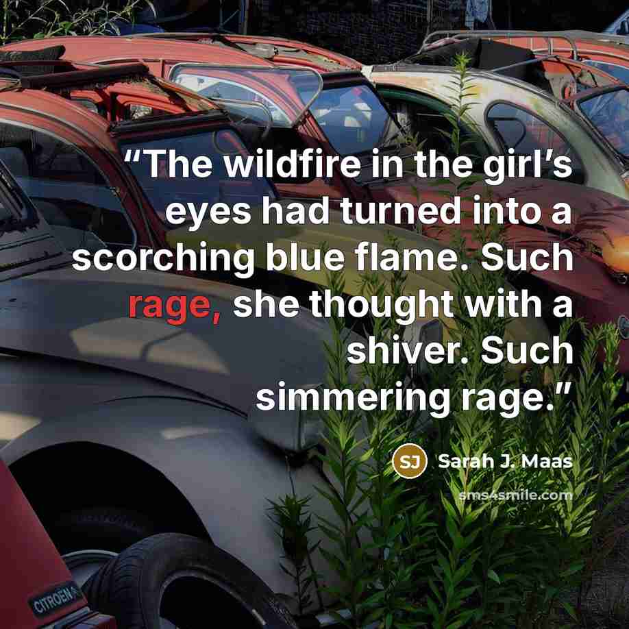 “The wildfire in the girl’s eyes had turned into a scorching blue flame. Such rage, she thought with a shiver. Such simmering rage.” quote by Sarah J. Maas