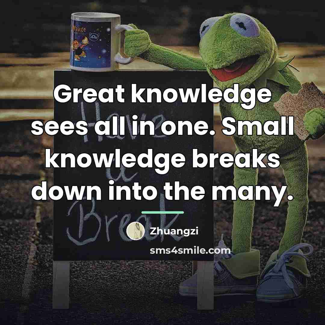 “Great knowledge sees all in one. Small knowledge breaks down…” quote by Zhuangzi