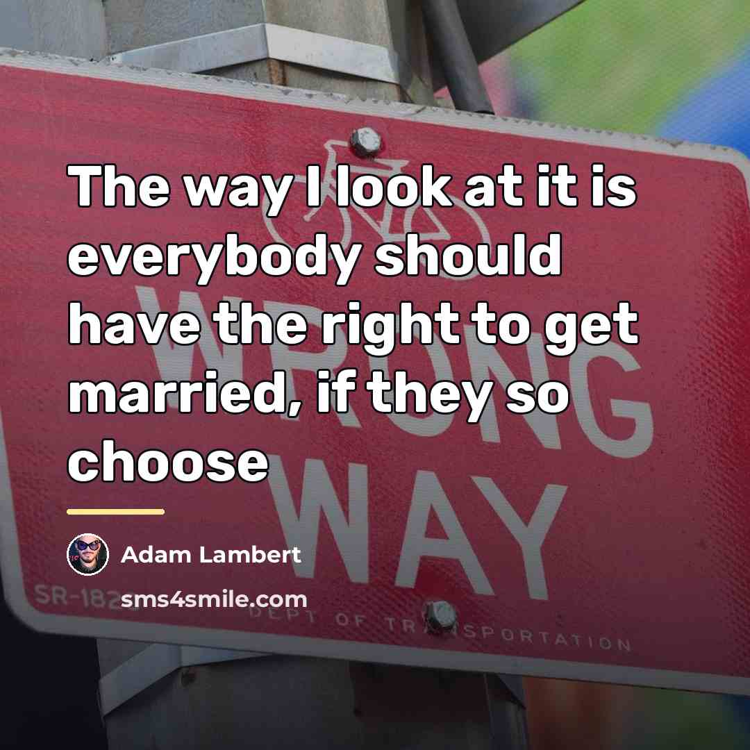 “The way I look at it is everybody should have…” quote by Adam Lambert