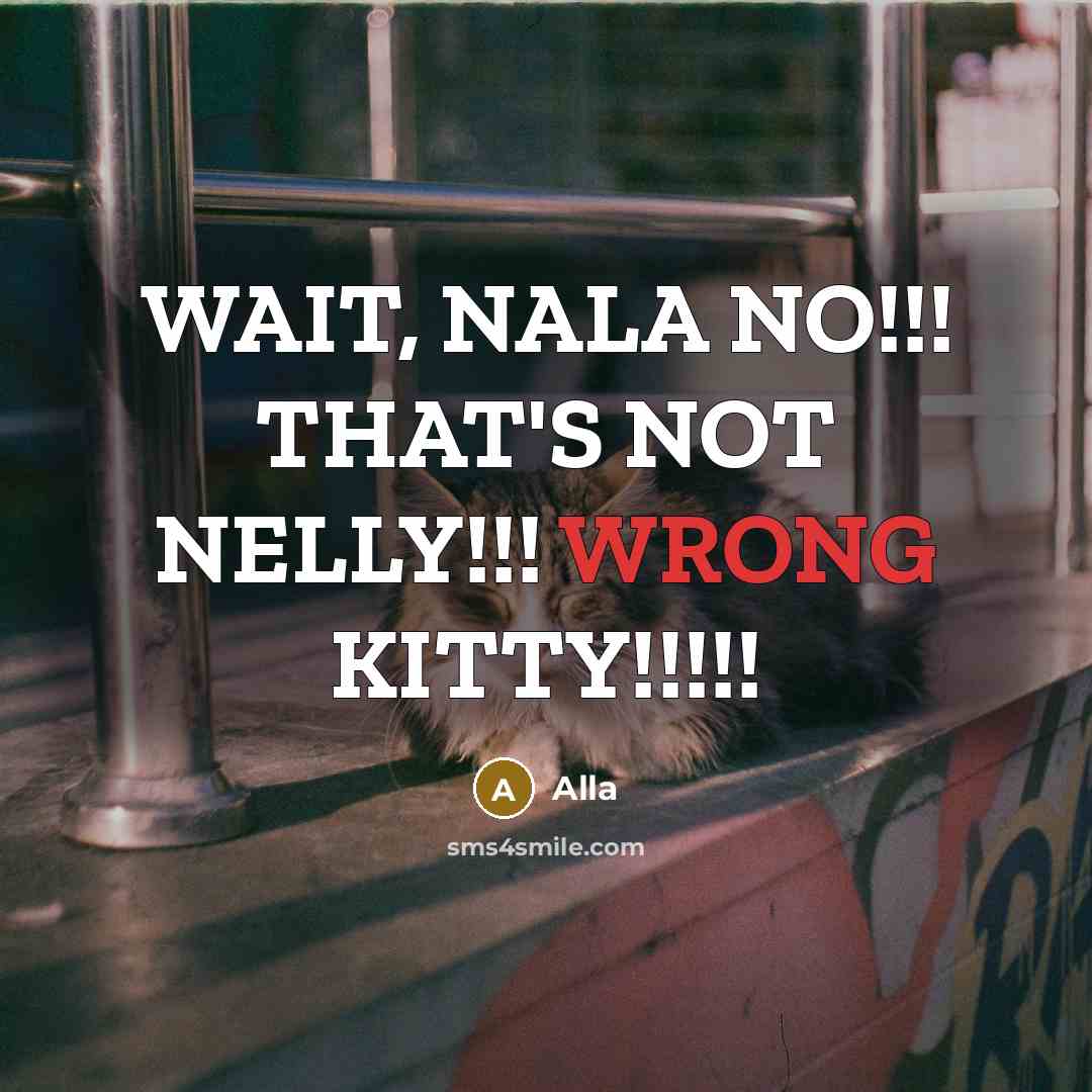 “WAIT, NALA NO!!! THAT'S NOT NELLY!!! WRONG KITTY!!!!!” quote by Alla