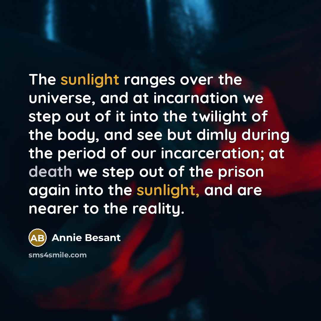“The sunlight ranges over the universe, and at incarnation we…” quote by Annie Besant