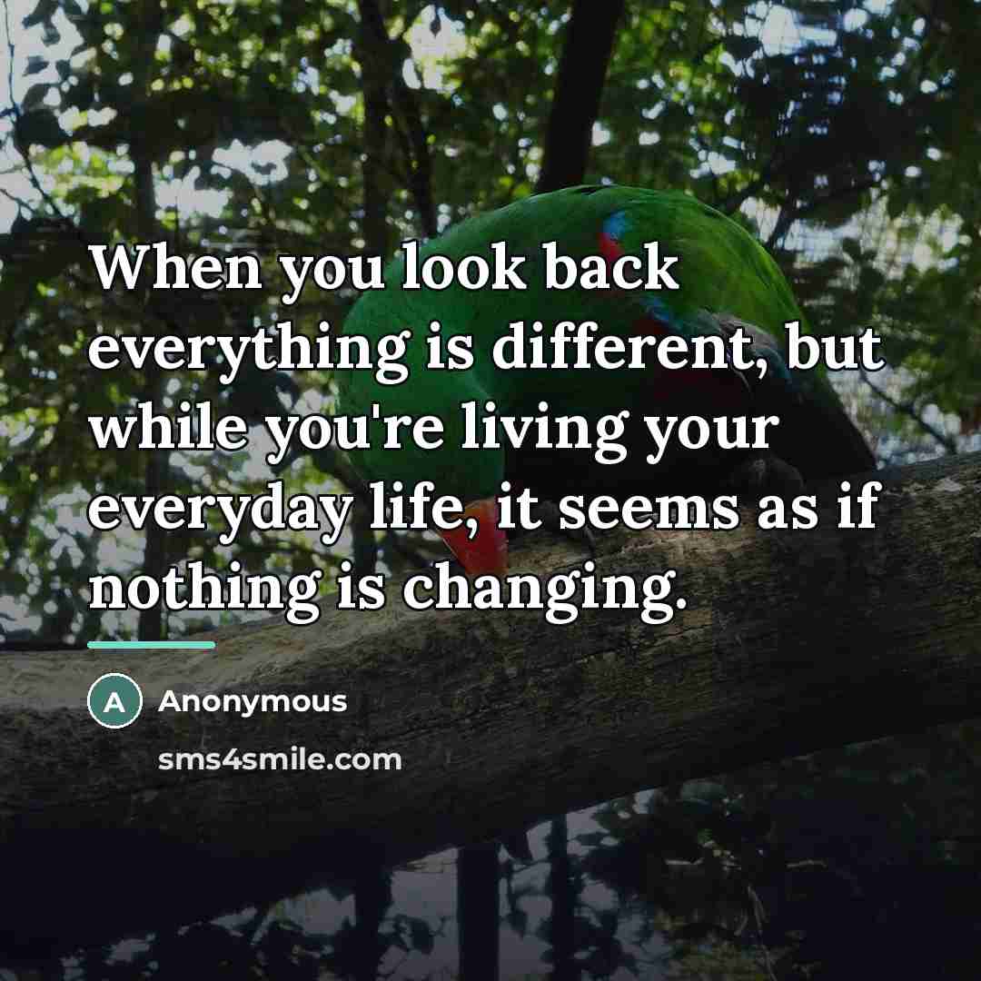 “When you look back everything is different, but while you're…” quote by Anonymous