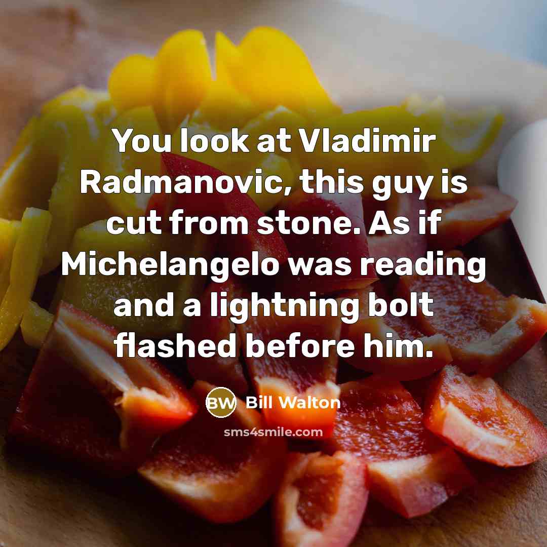 “You look at Vladimir Radmanovic, this guy is cut from…” quote by Bill Walton