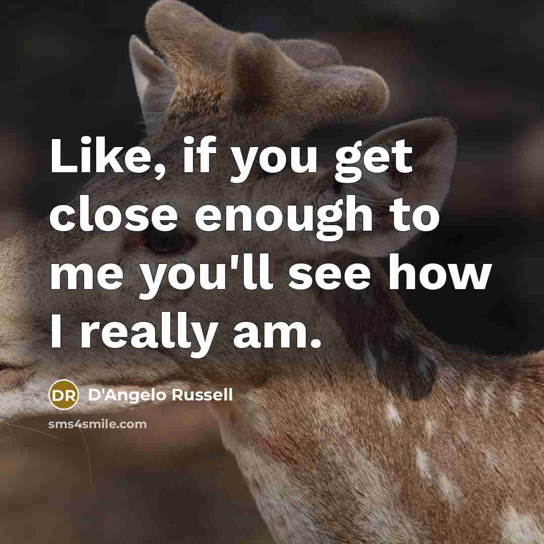 “Like, if you get close enough to me you'll see…” quote by D'Angelo Russell