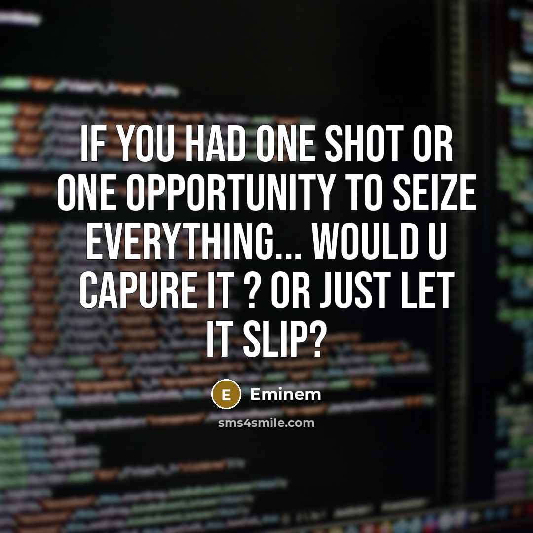 “If You had one Shot or one opportunity to seize…” quote by Eminem
