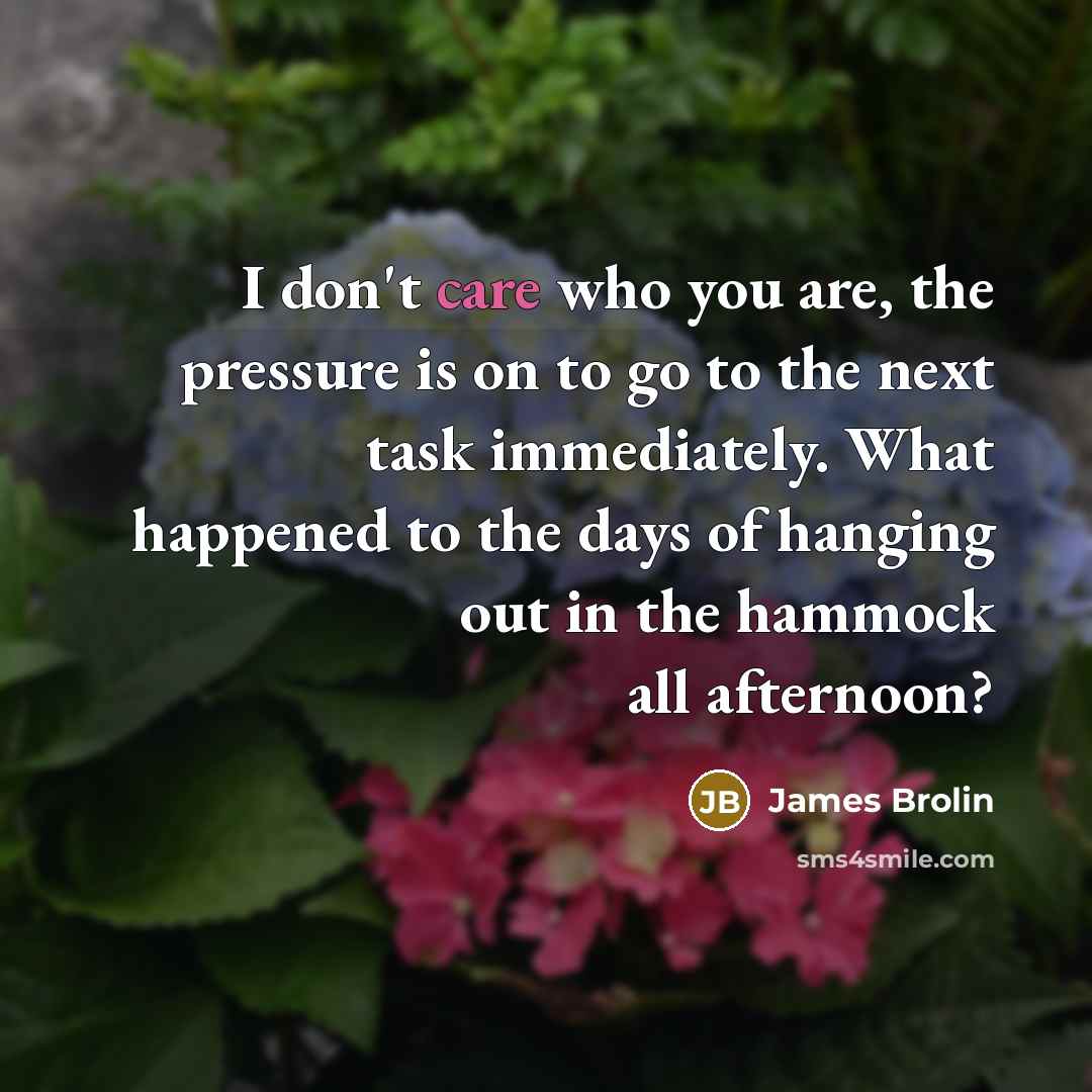 “I don't care who you are, the pressure is on…” quote by James Brolin