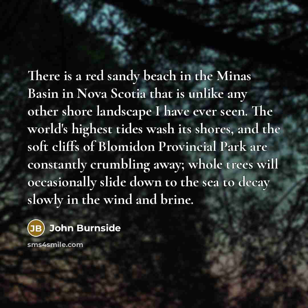 “There is a red sandy beach in the Minas Basin…” quote by John Burnside