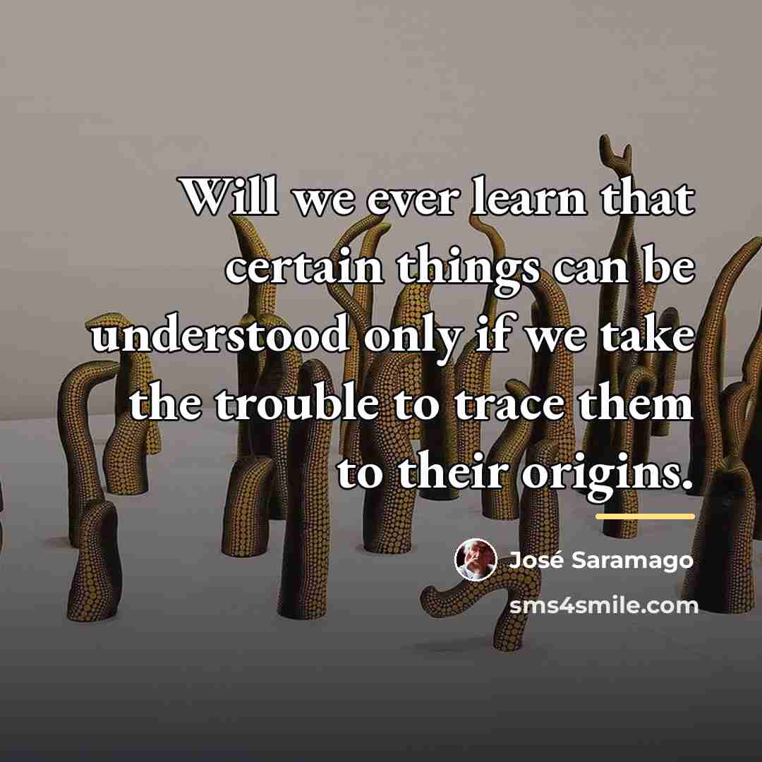 “Will we ever learn that certain things can be understood…” quote by Jose Saramago