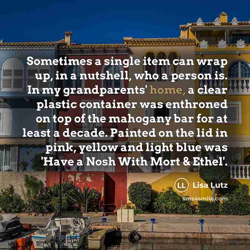 “Sometimes a single item can wrap up, in a nutshell,…” quote by Lisa Lutz